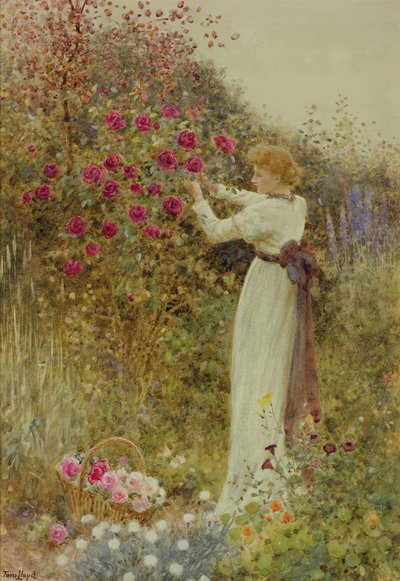 Rosas, 1867 de Thomas James Lloyd